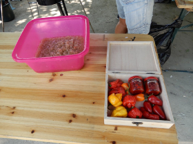 halfozo_verseny_2019_9