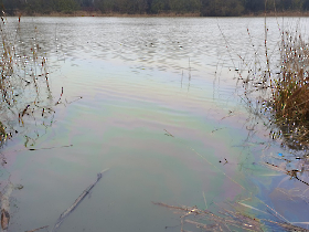 olajszennyezes_20230106_1