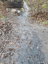 olajszennyezes_20230106_2