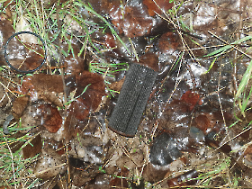 Olajszennyezés Pesterzsébeten (2024.01.06.)