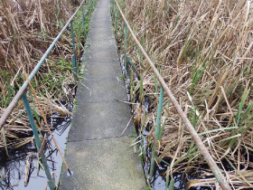 olajszennyezes_202012_11