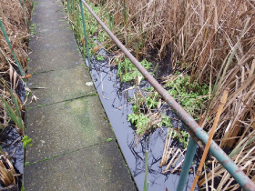 olajszennyezes_202012_12