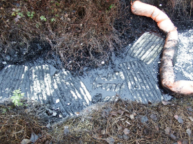 olajszennyezes_202012_13