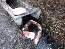 olajszennyezes_202012_17