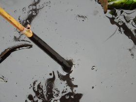 olajszennyezes_202012_18