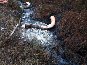 olajszennyezes_202012_19