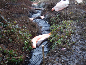 olajszennyezes_202012_20