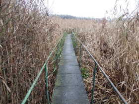 olajszennyezes_202012_21