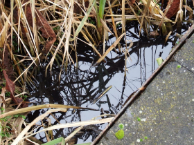 olajszennyezes_202012_22