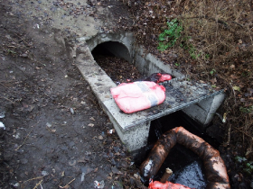 olajszennyezes_202012_23