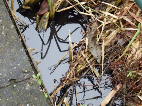 olajszennyezes_202012_25