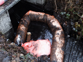 olajszennyezes_202012_29