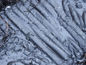 olajszennyezes_202012_2