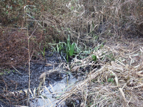 olajszennyezes_202012_4