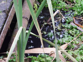 olajszennyezes_202012_6