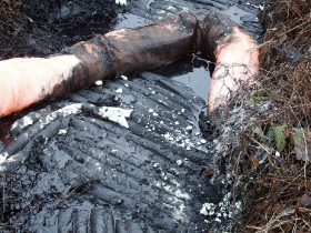 olajszennyezes_202012_8