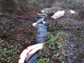 olajszennyezes_202012_9