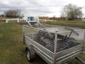 szemetszedes_20220409_22