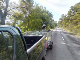 szemetszedes_20201010_12