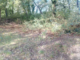 szemetszedes_20201010_17