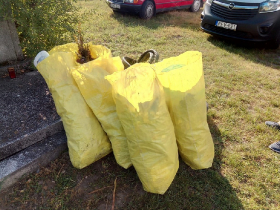 szemetszedes_20201010_33