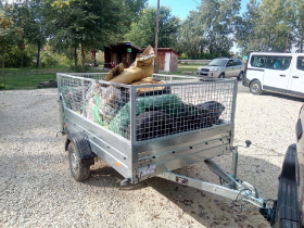 szemetszedes_20201010_3