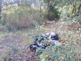 Szemétszedés Szigetcsépen - 2020.10.10