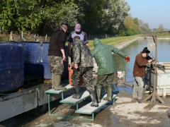 lehalaszas_2010_deme_16