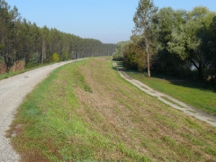 lehalaszas_2010_deme_1