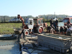 lehalaszas_2010_deme_21