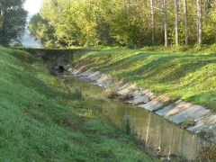 lehalaszas_2010_deme_23