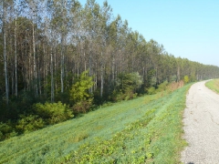 lehalaszas_2010_deme_2