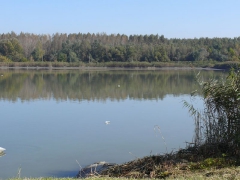 lehalaszas_2010_deme_41