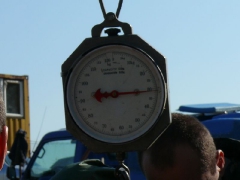 lehalaszas_2010_deme_49