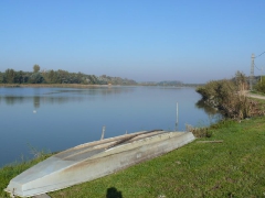 lehalaszas_2010_deme_4