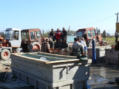 lehalaszas_2010_deme_50