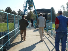 lehalaszas_2010_deme_53