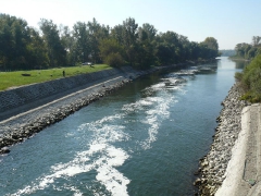 lehalaszas_2010_deme_54