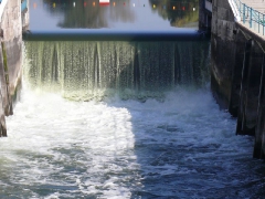 lehalaszas_2010_deme_56