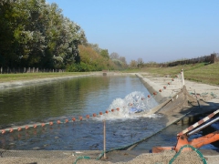 lehalaszas_2010_deme_6