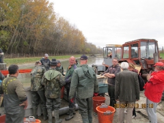 2015 őszi lehalászás