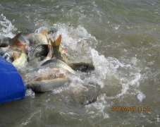 telepites2018tavasz_3