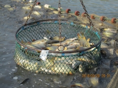 telepites2018tavasz_4