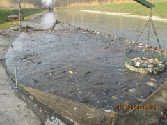 telepites2018tavasz_5