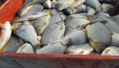 telepites2018tavasz_6