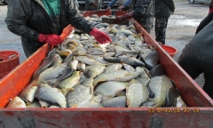 telepites2018tavasz_7