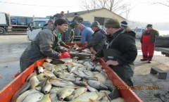 telepites2018tavasz_8