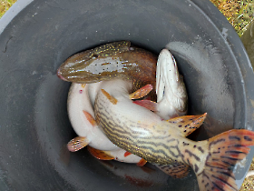 telepites_20230424_1