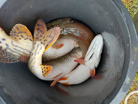 telepites_20230424_2