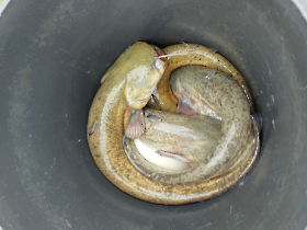 telepites_20230424_3